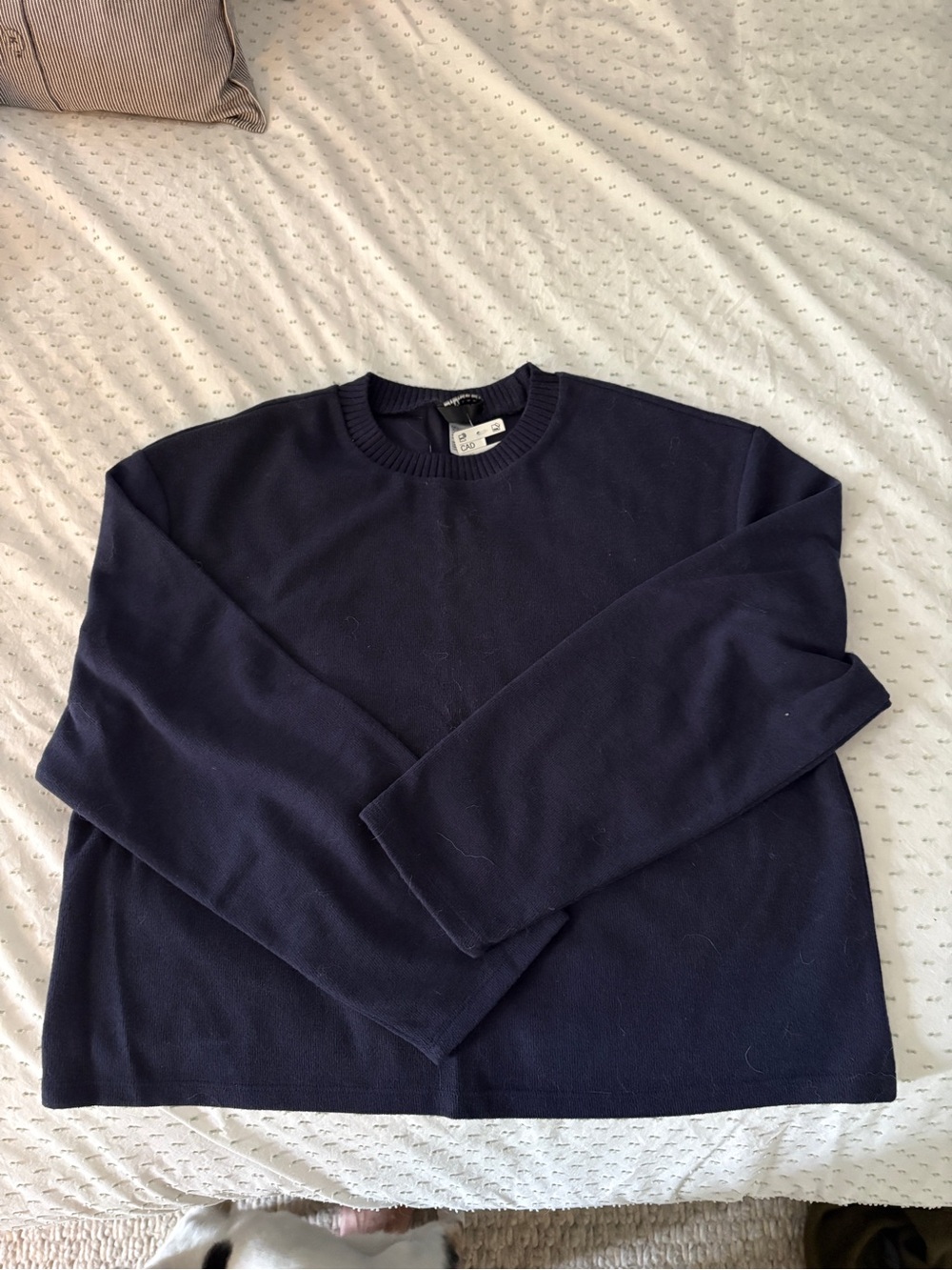 H&M Navy Crewneck Sweater
